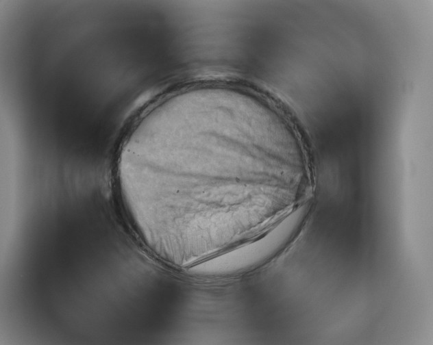 X0000115801306200911201350