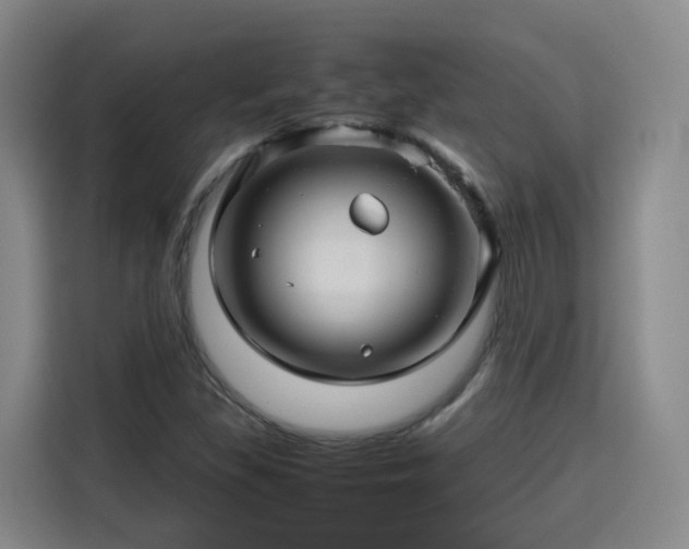 X0000115801309200911201350