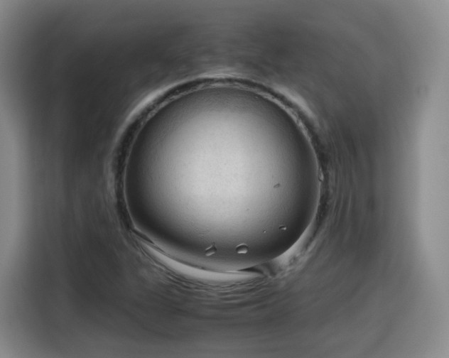 X0000115801311200911201350