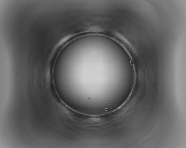 X0000115801315200911201350