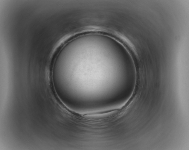 X0000115801318200911201350