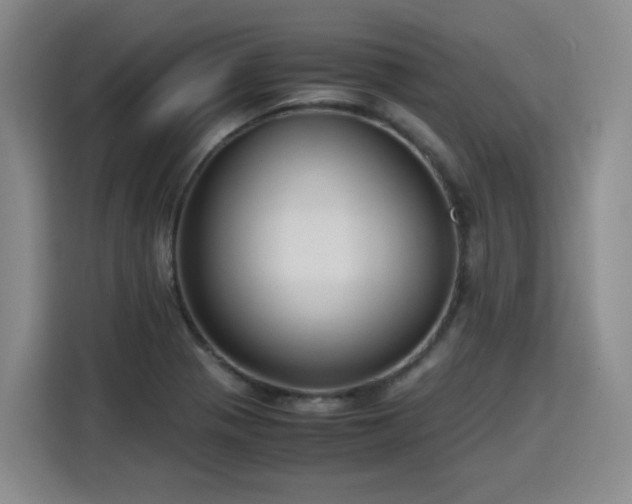 X0000115801321200911201350