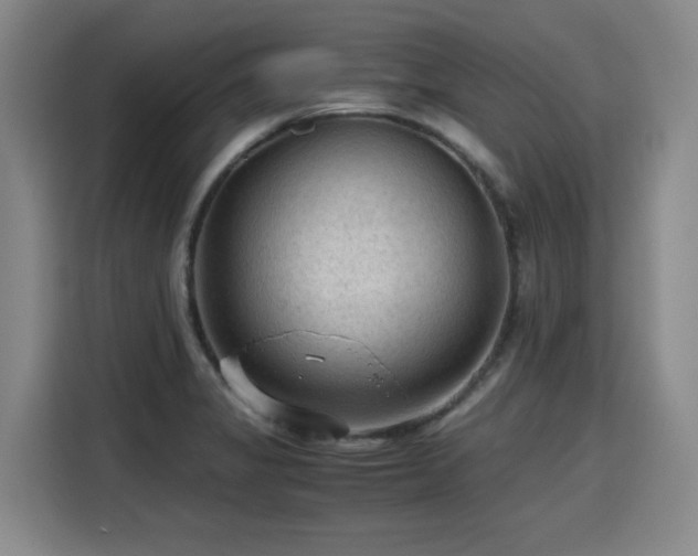 X0000115801325200911201350
