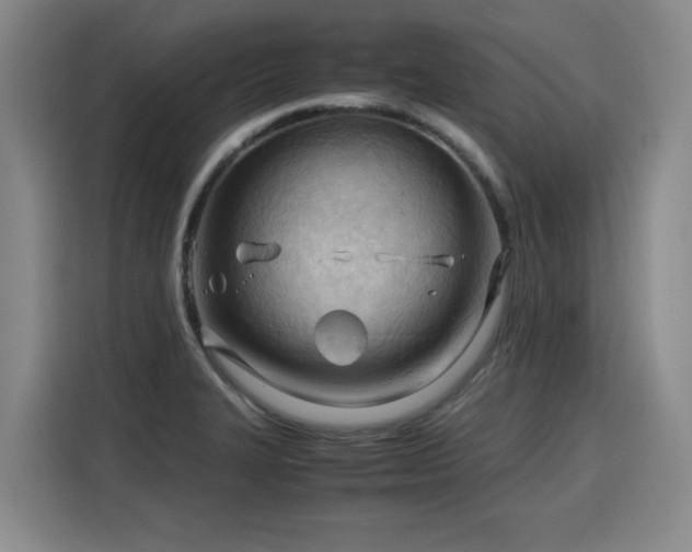 X0000115801327200911201350