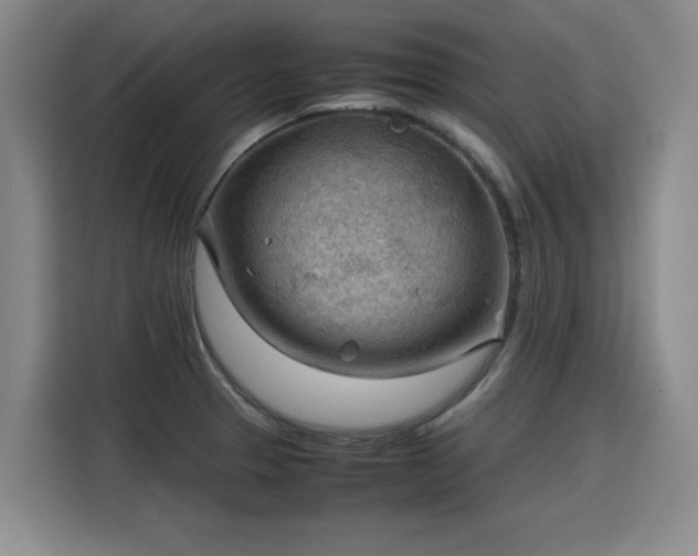 X0000115801329200911201350