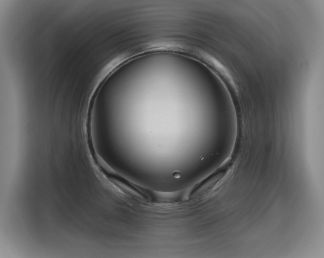 X0000115801330200911201350