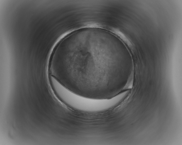 X0000115801331200911201350