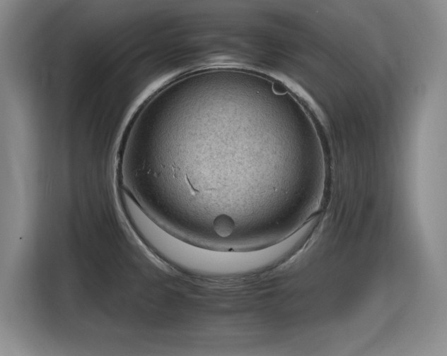 X0000115801333200911201350