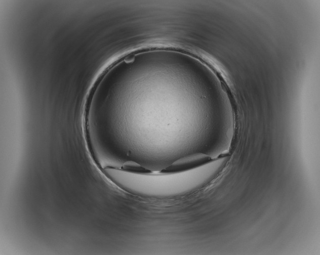 X0000115801334200911201350