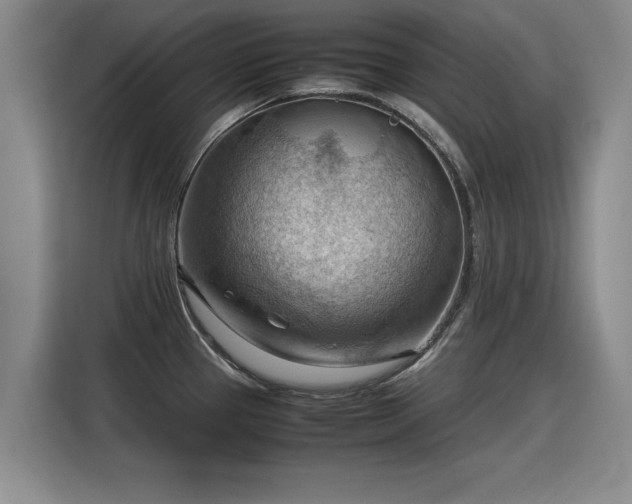 X0000115801337200911201350
