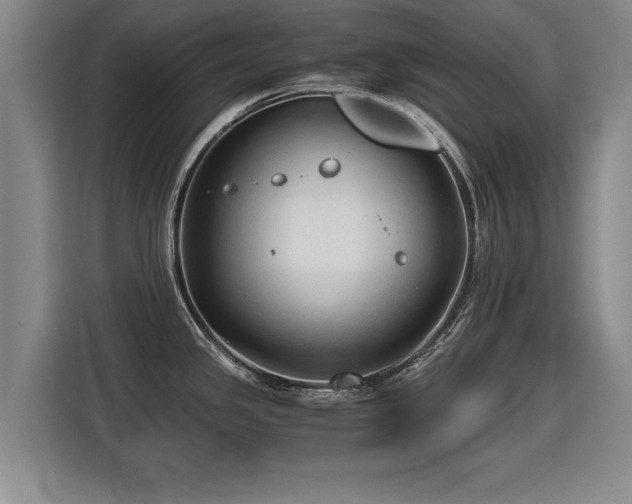 X0000115801341200911201350