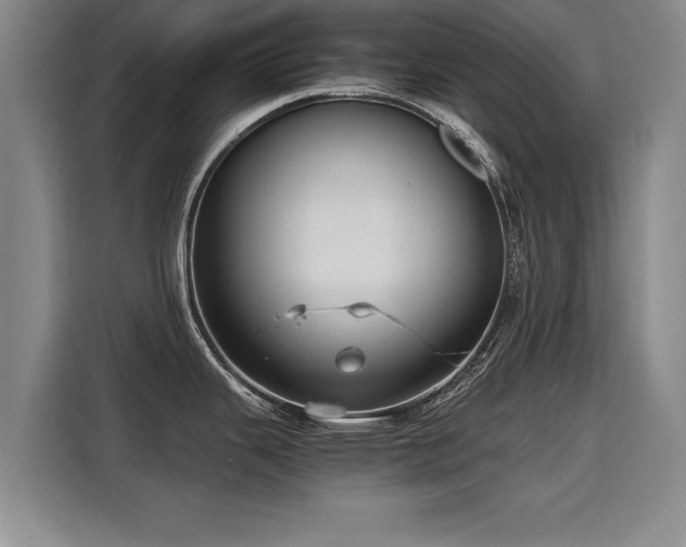 X0000115801343200911201350