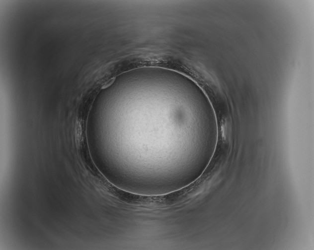 X0000115801347200911201349