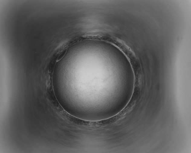X0000115801350200911201349