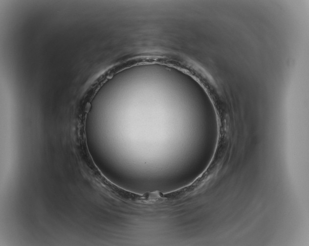 X0000115801352200911201349
