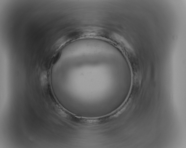 X0000115801353200911201349