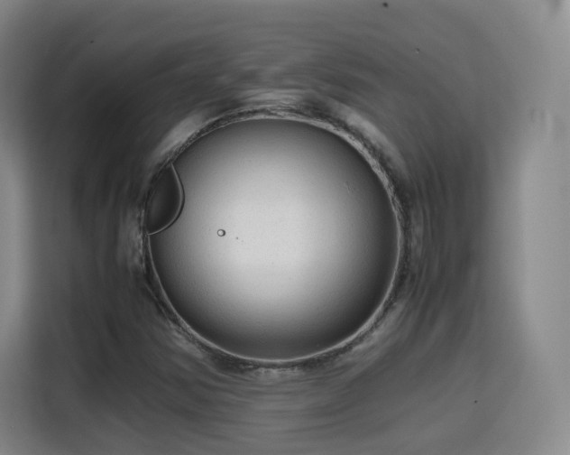 X0000115801354200911201349