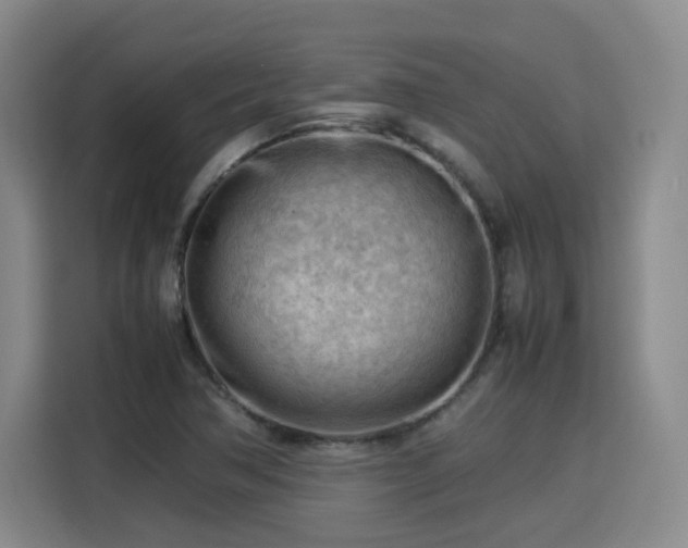X0000115801362200911201349