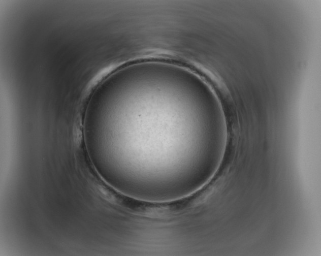 X0000115801363200911201349