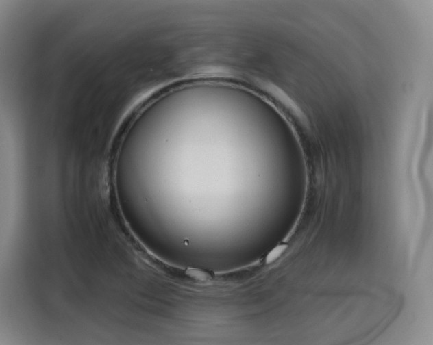 X0000115801364200911201349