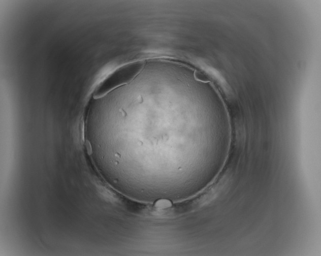 X0000115801365200911201349