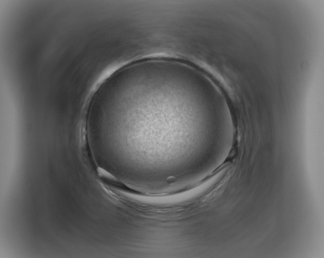 X0000115801367200911201349