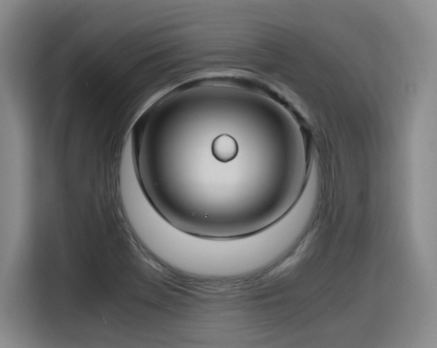 X0000115801369200911201349