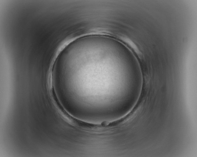 X0000115801371200911201349
