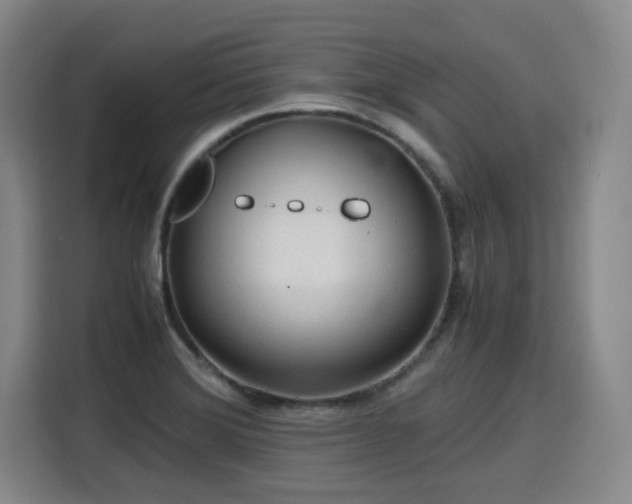 X0000115801372200911201349
