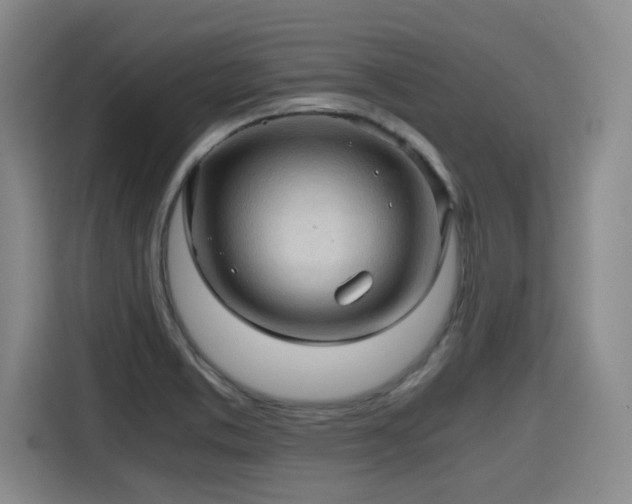 X0000115801373200911201349
