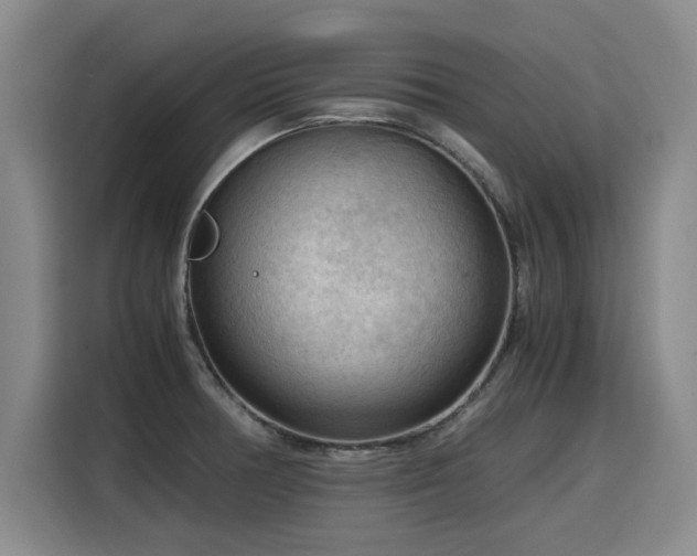 X0000115801378200911201349