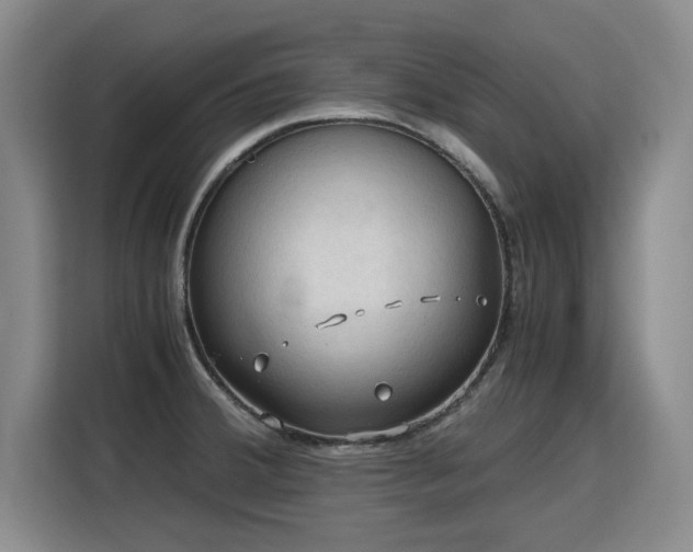 X0000115801380200911201349