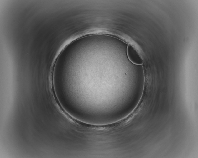 X0000115801382200911201349