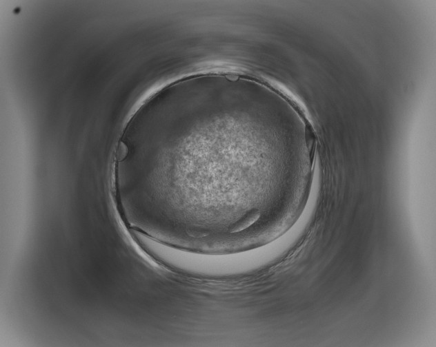 X0000115801383200911201349