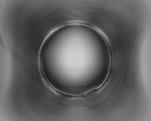 X0000115801384200911201349