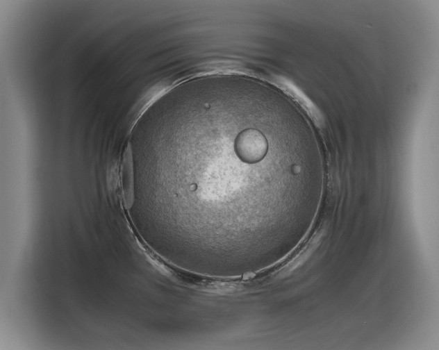X0000115801385200911201349