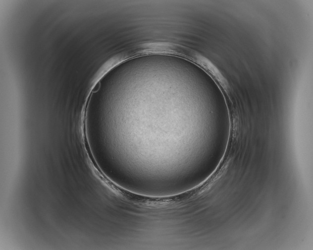 X0000115801386200911201349