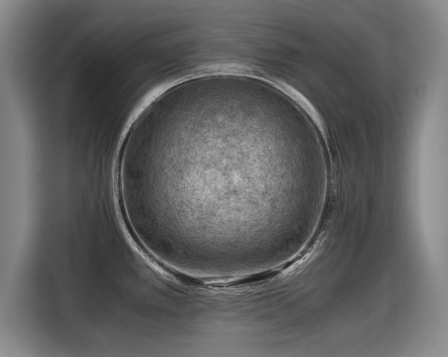 X0000115801389200911201349