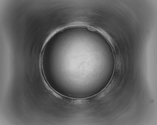 X0000115801390200911201349