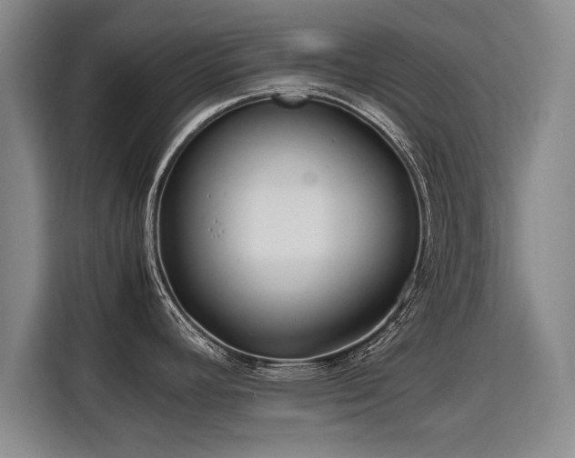 X0000115801392200911201349
