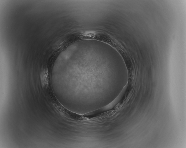 X0000115801394200911201348