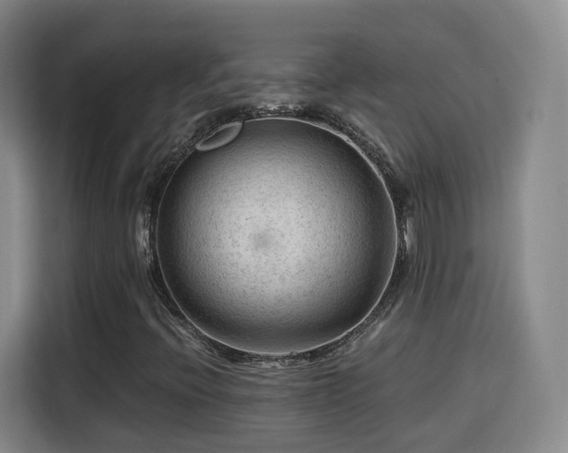 X0000115801396200911201348