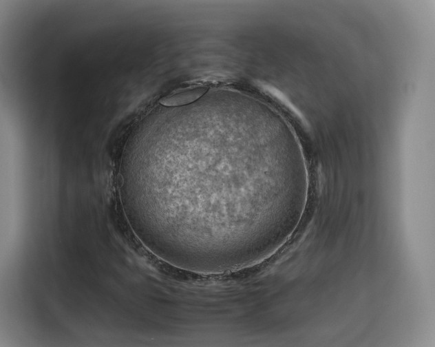 X0000115801399200911201348
