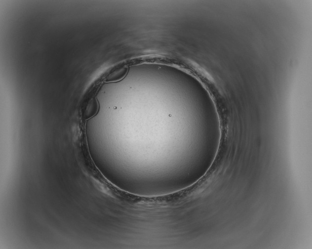 X0000115801400200911201348