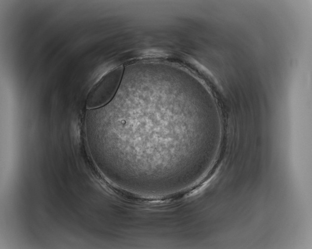 X0000115801401200911201348