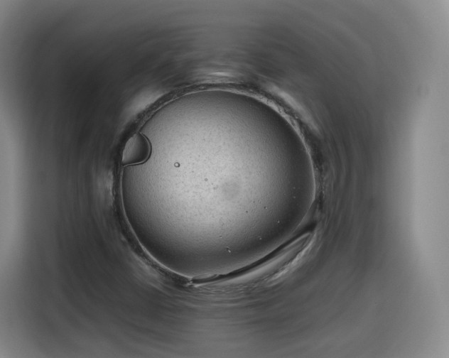 X0000115801402200911201348