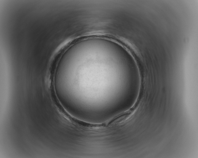 X0000115801406200911201348