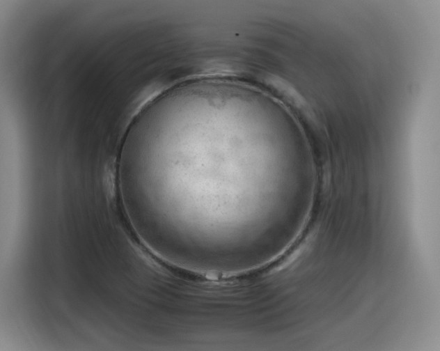 X0000115801409200911201348