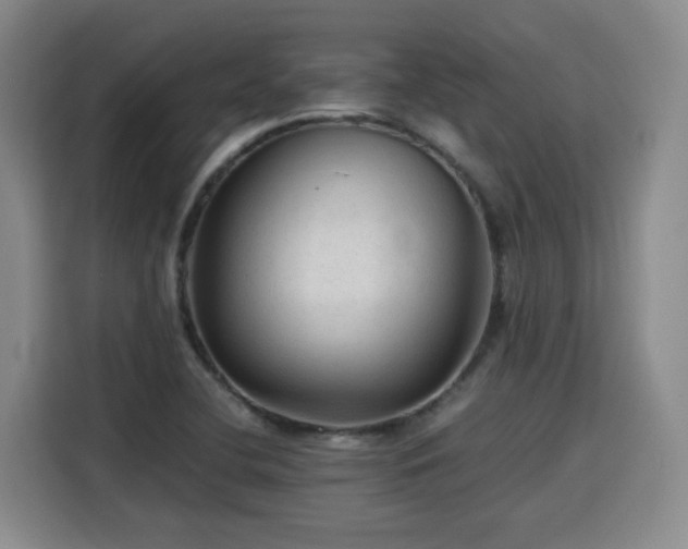 X0000115801412200911201348
