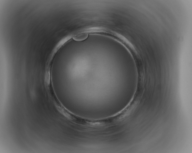 X0000115801413200911201348
